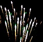Золотая рыбка 